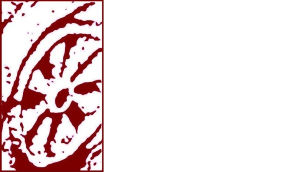 Logo_CEM_blanc2